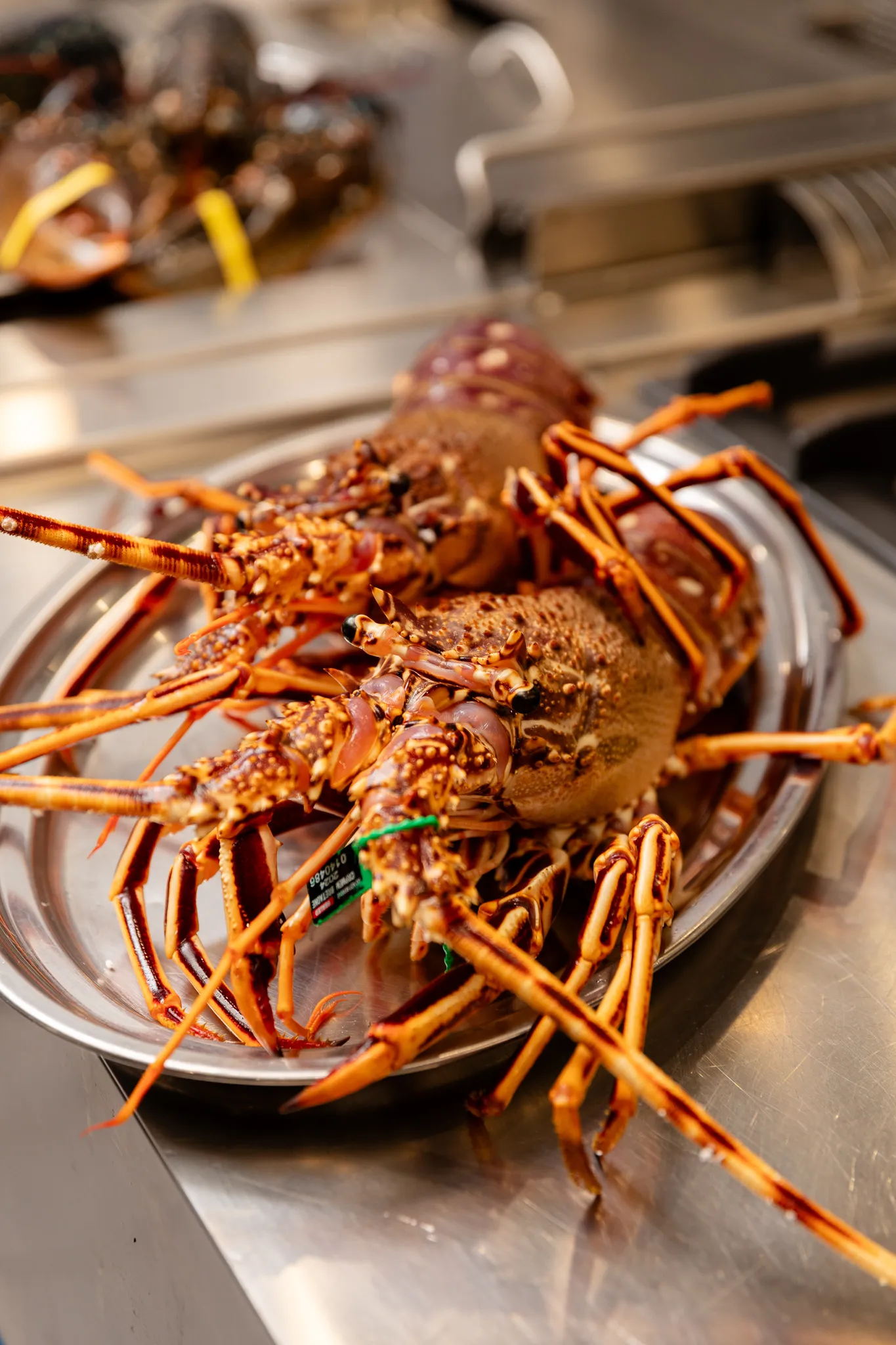 Imágenes de platos del restaurante Sa Sal Ibiza
