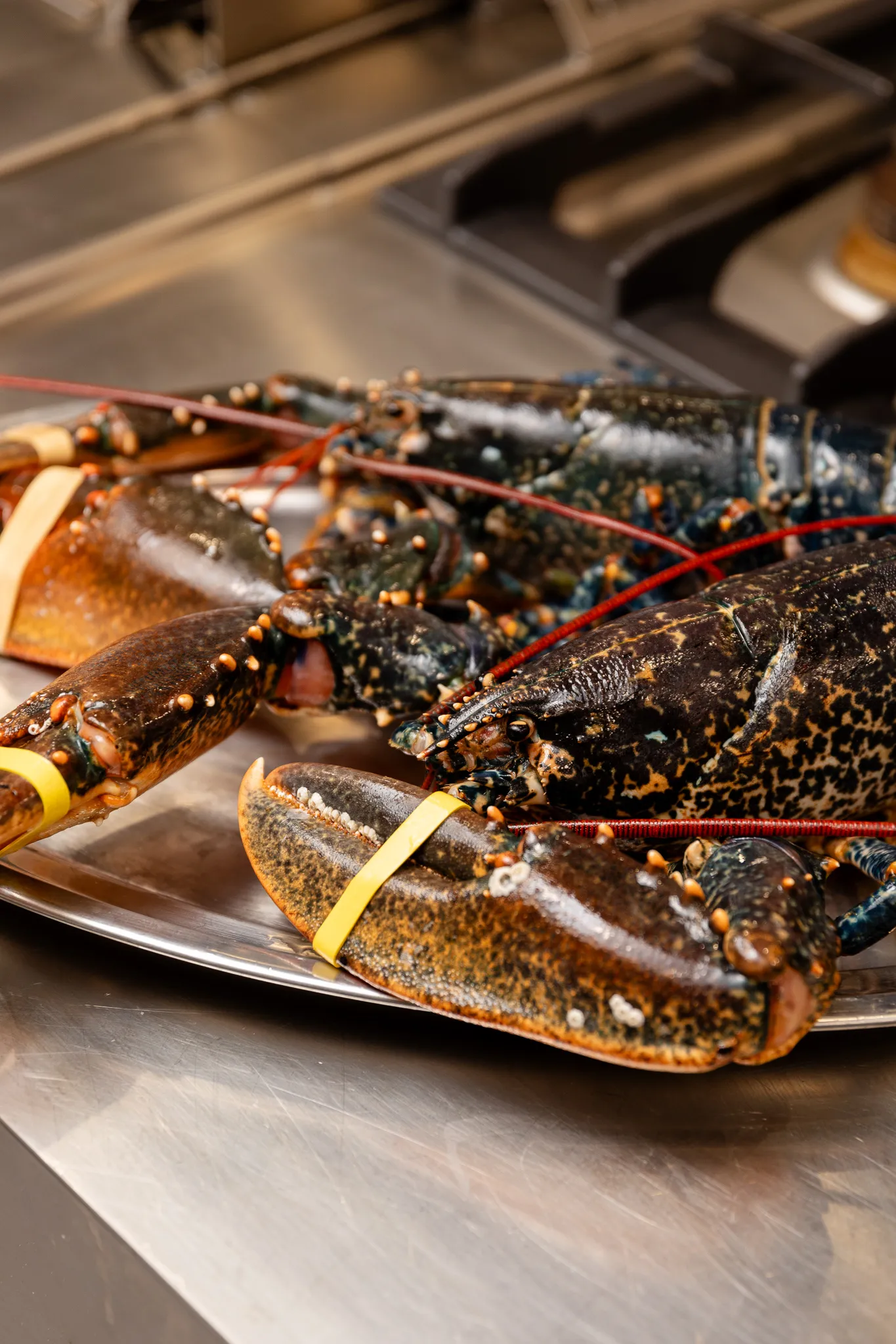 Imágenes de platos del restaurante Sa Sal Ibiza