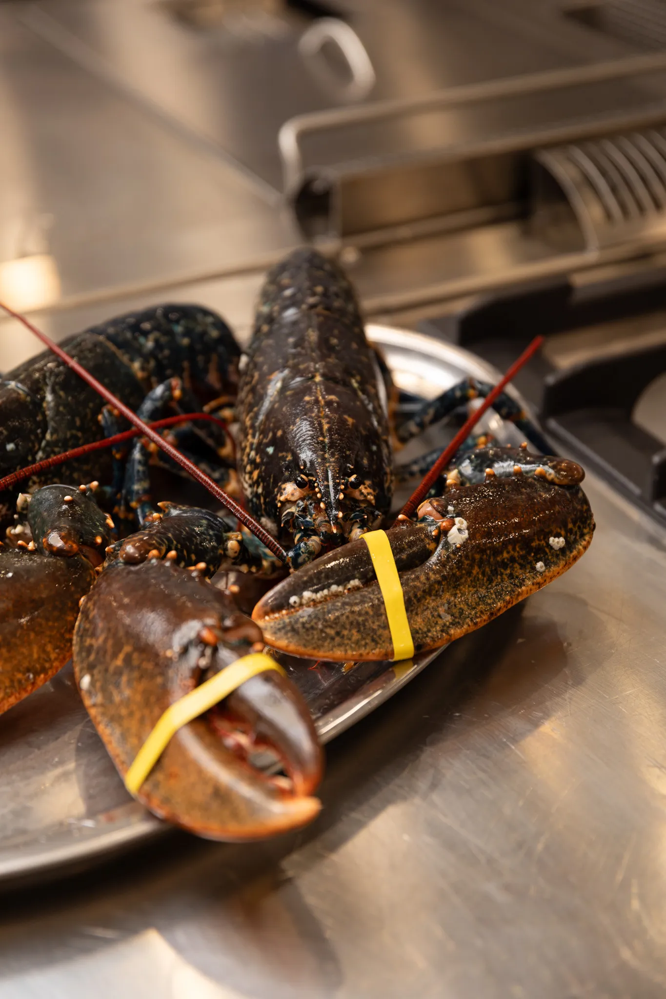 Imágenes de platos del restaurante Sa Sal Ibiza