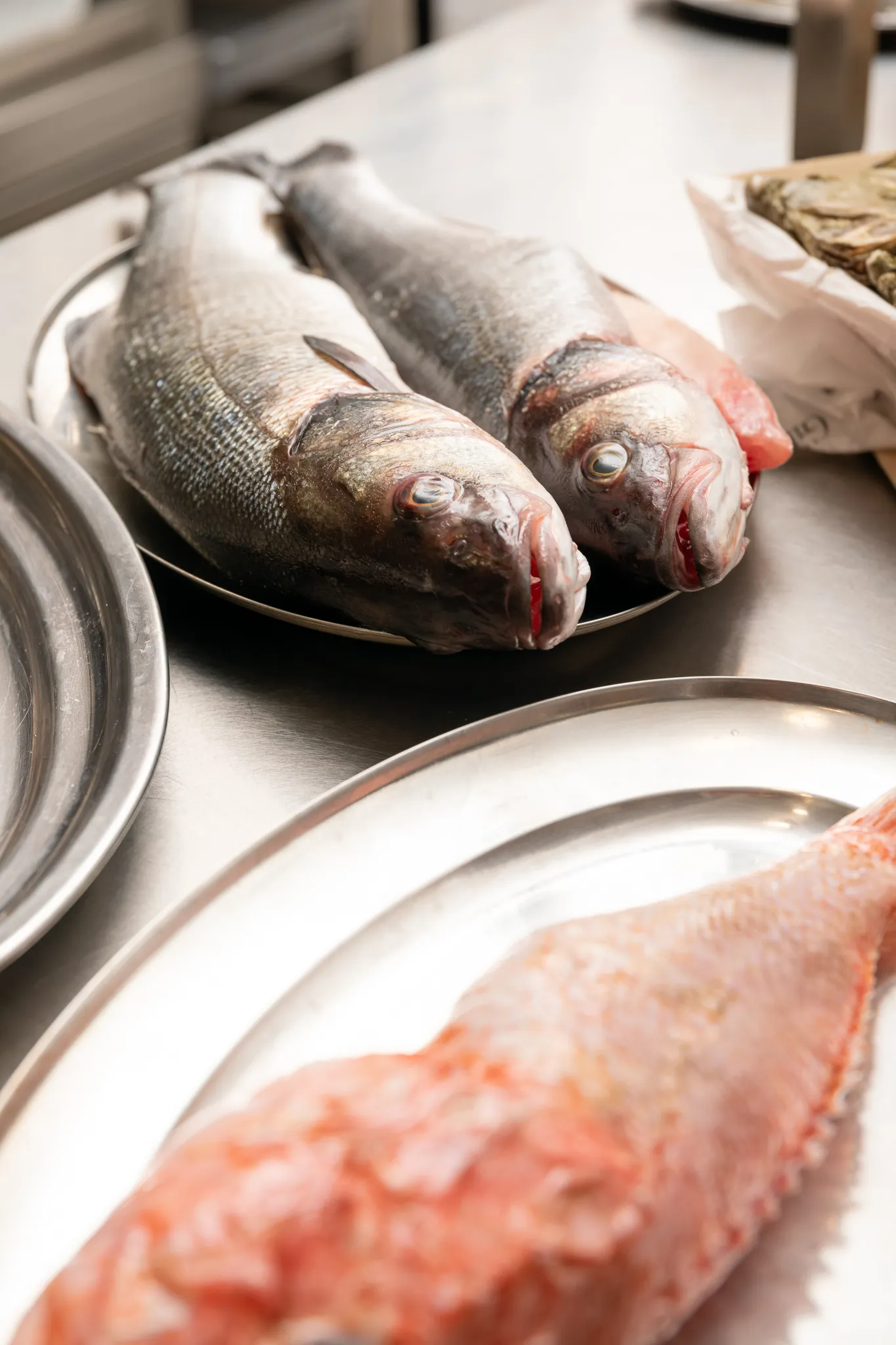 Imágenes de platos del restaurante Sa Sal Ibiza